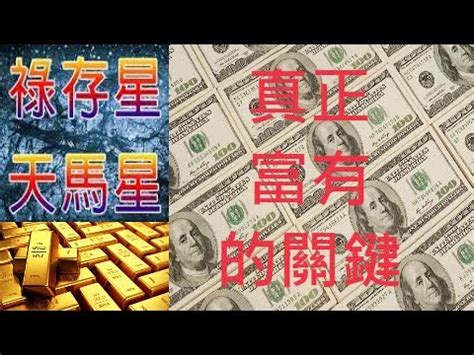 龜卦準嗎|[問題] 龜卦準嗎？